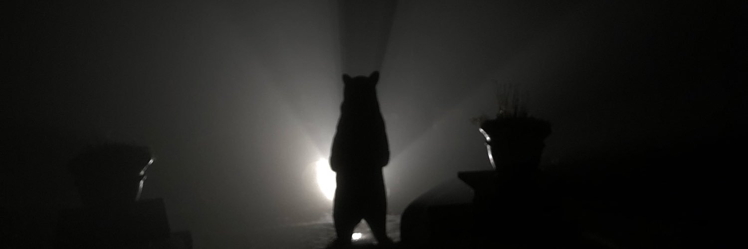 wbwilson_'s profile banner image