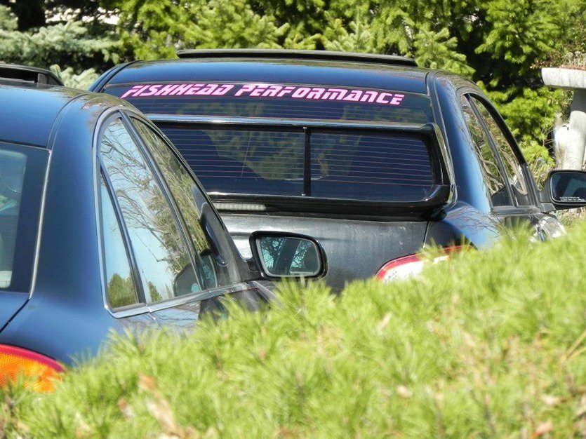fishhead_tuned's profile banner image