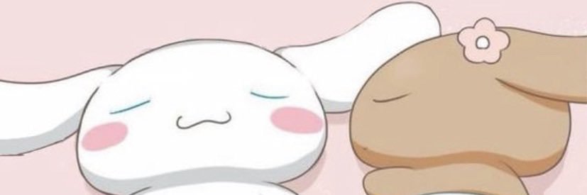 nheasantiago's profile banner image