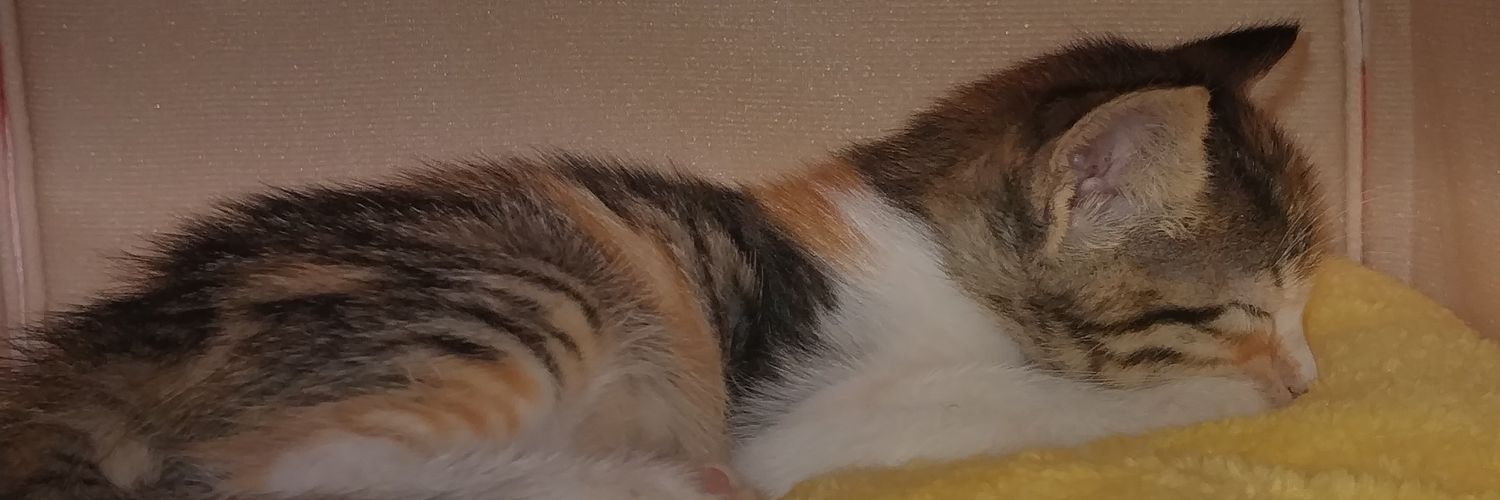 rodolfo3008's profile banner image