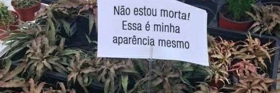 Elevem_C's profile banner image