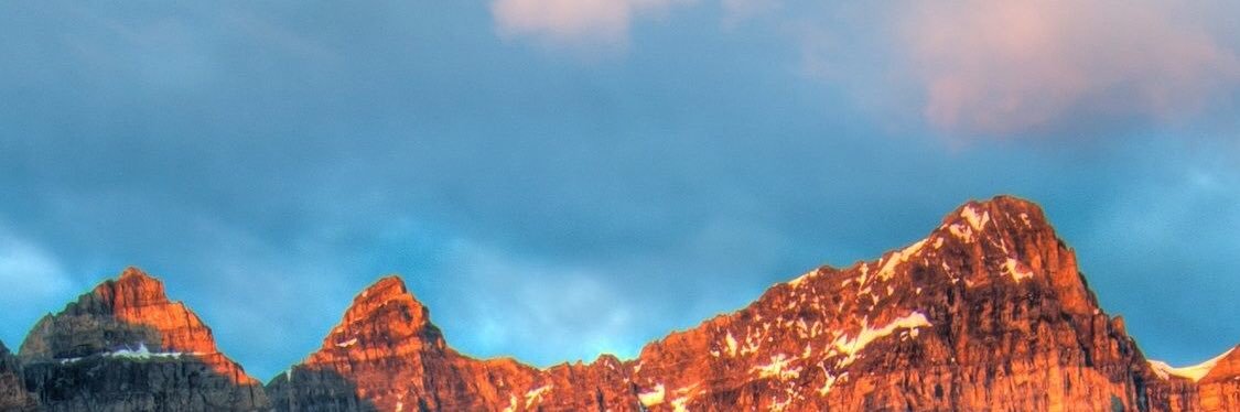 PerdueLayla's profile banner image