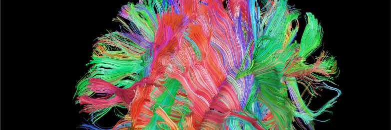 James Murrough banner