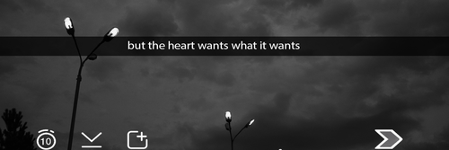 bonniejsgdr's profile banner image