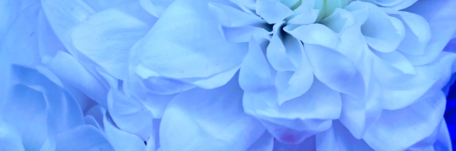 onesttranquille's profile banner image