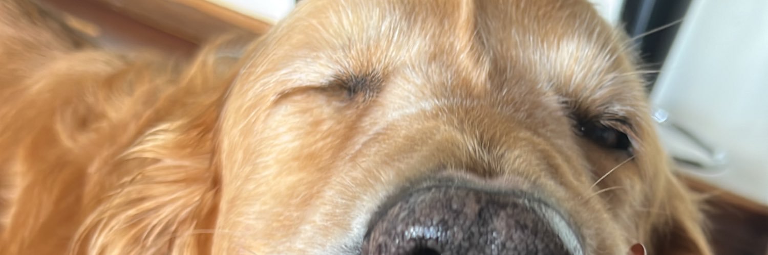 AndreAlmaralesG's profile banner image