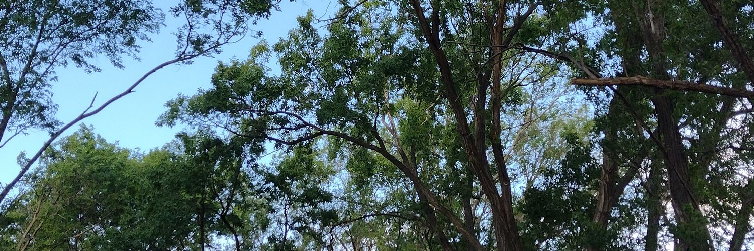 ValenDestouches's profile banner image