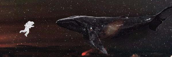 weare_geong's profile banner image