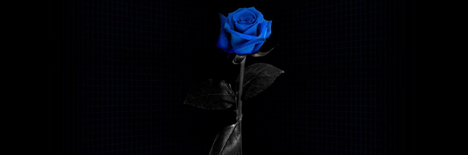 Blue__rosez's profile banner image