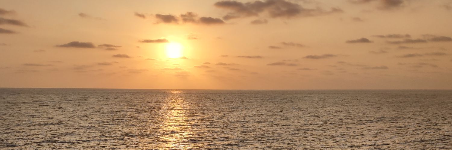 yuriLynx's profile banner image
