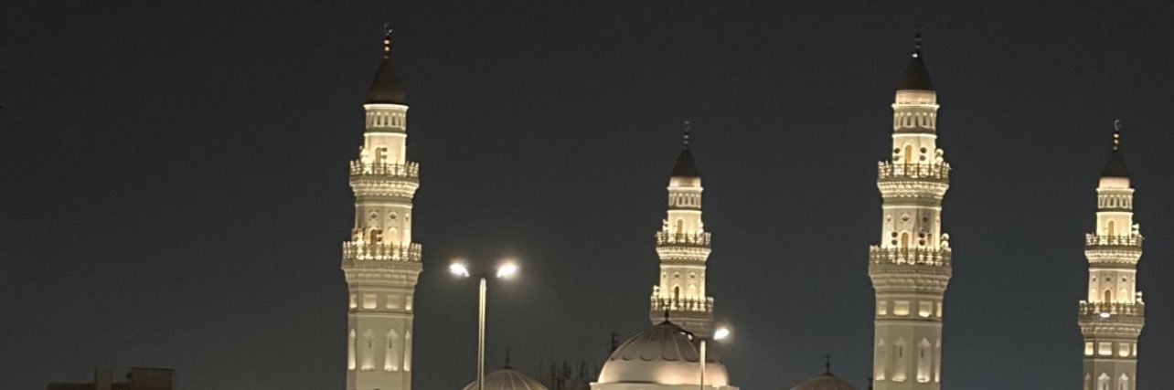 LamaLens's profile banner image