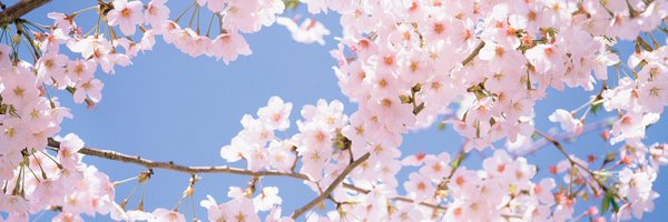 kenzliee Profile Banner