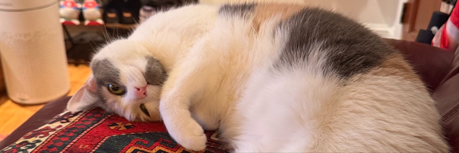 weirdatticus's profile banner image