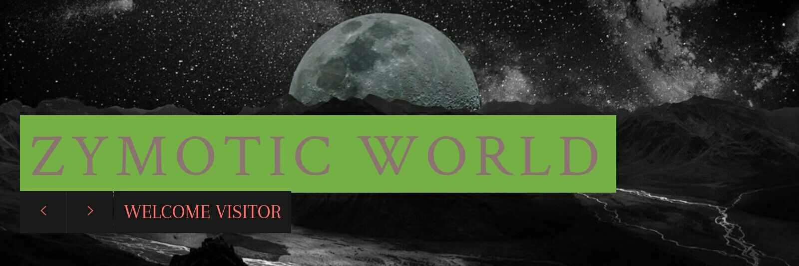 zymoticorders's profile banner image