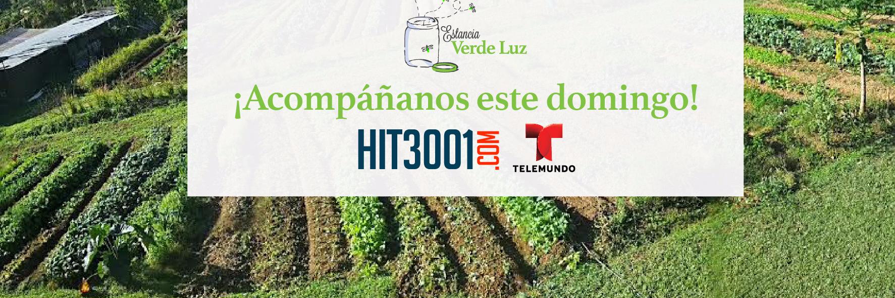 Estancia Verde Luz banner