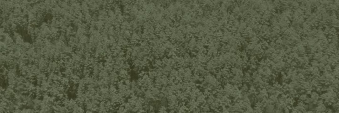 QWilliams_'s profile banner image