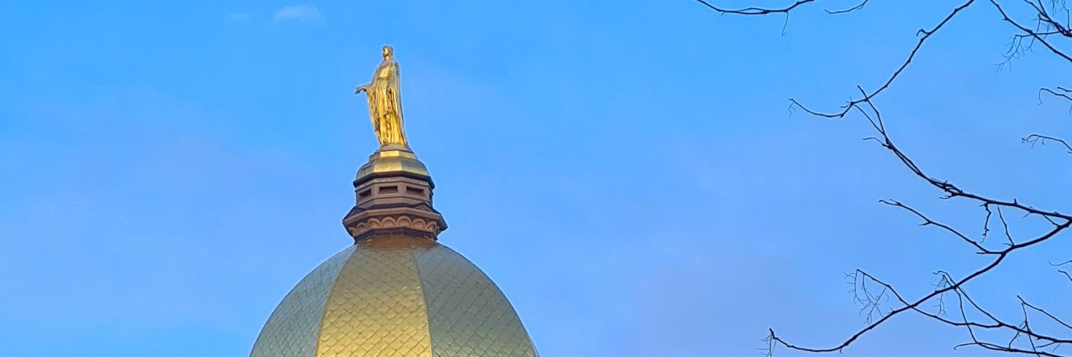 InesMokdadi's profile banner image