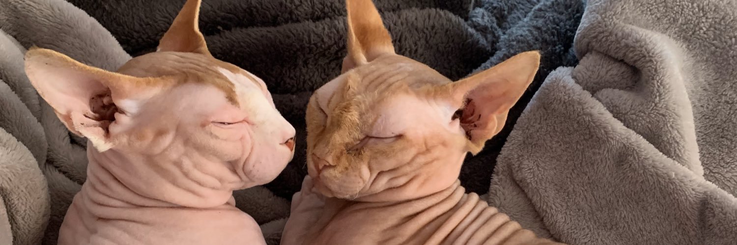 annabelk_'s profile banner image