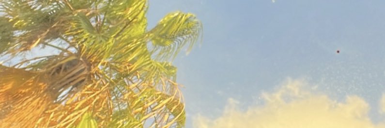 DylanJMcLean's profile banner image