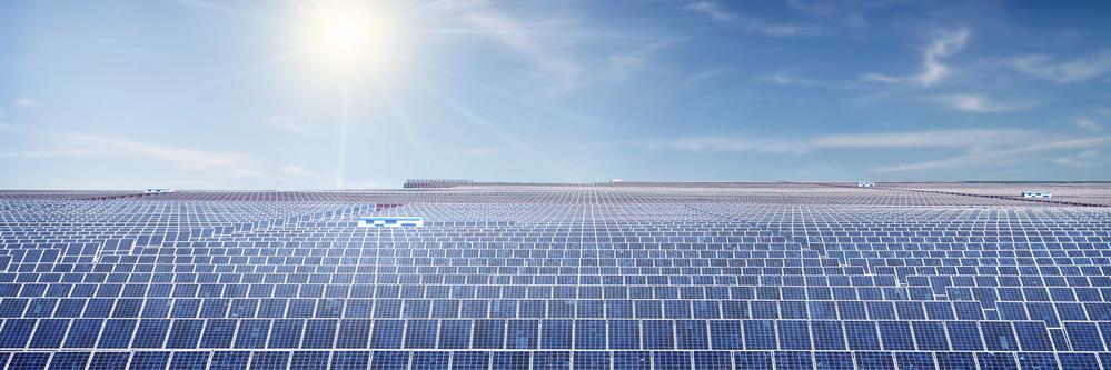 Rodrigo Lopes Sauaia banner