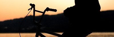 Fer Rosales banner