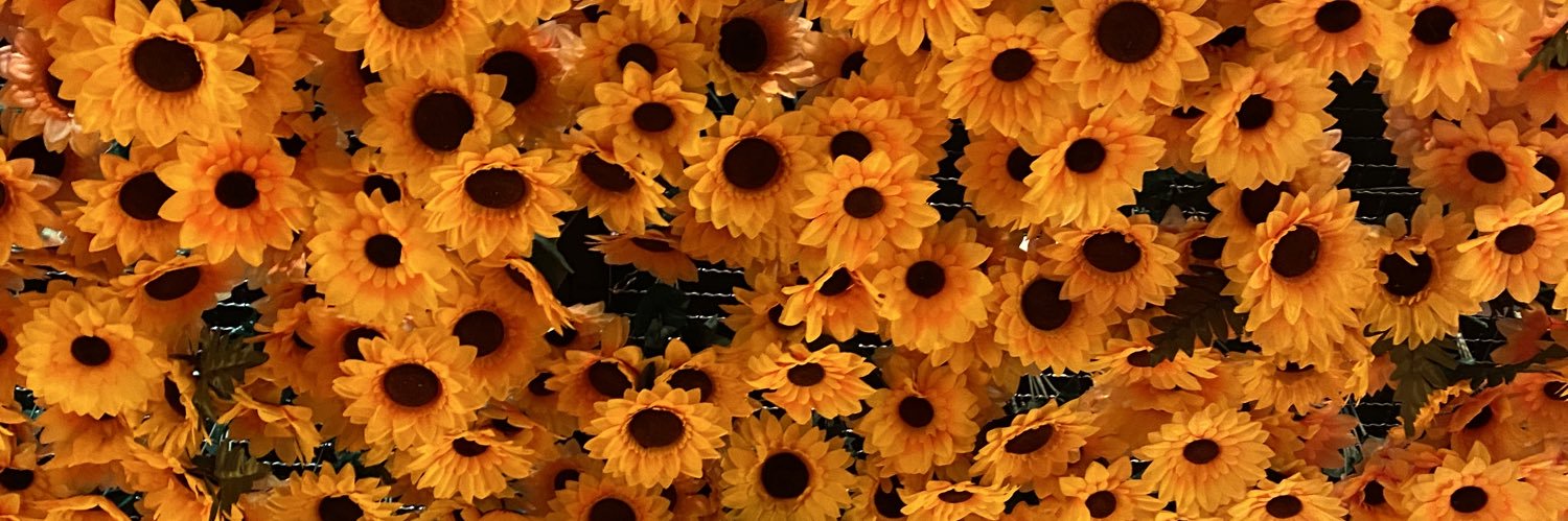 Predrinho01's profile banner image