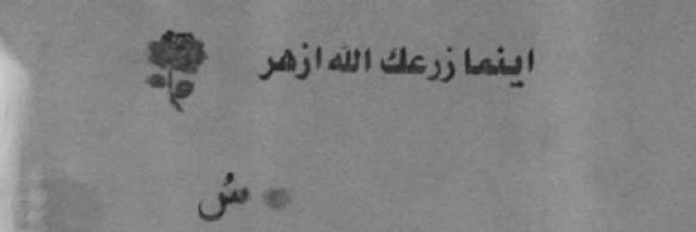 alaa_sh0's profile banner image