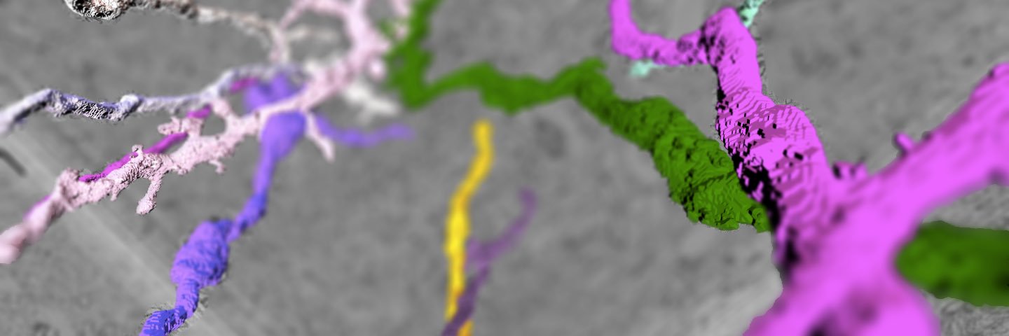 supexi's profile banner image