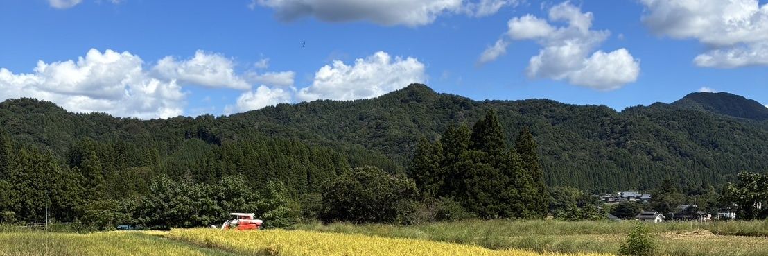 メンズ脱毛屋のお姉さん banner