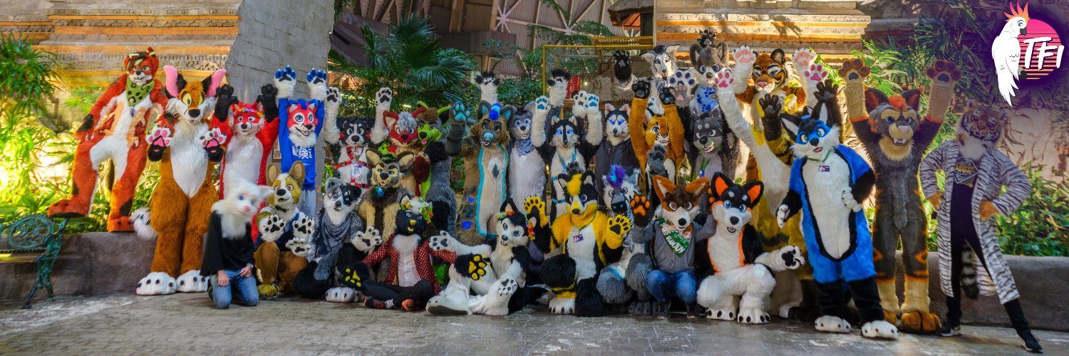 tfi_con's profile banner image
