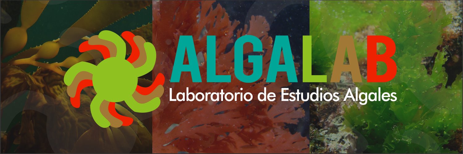 Algalab banner