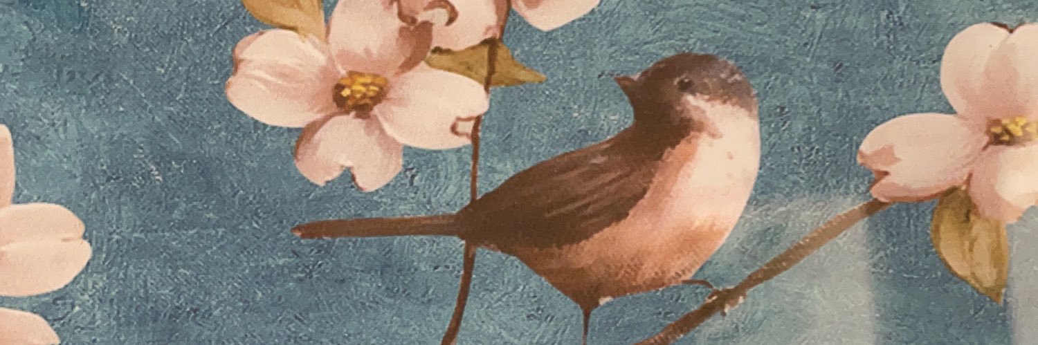 guo_aiping's profile banner image