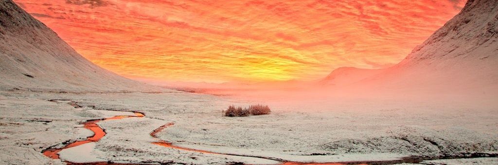 Stephen Curtis banner