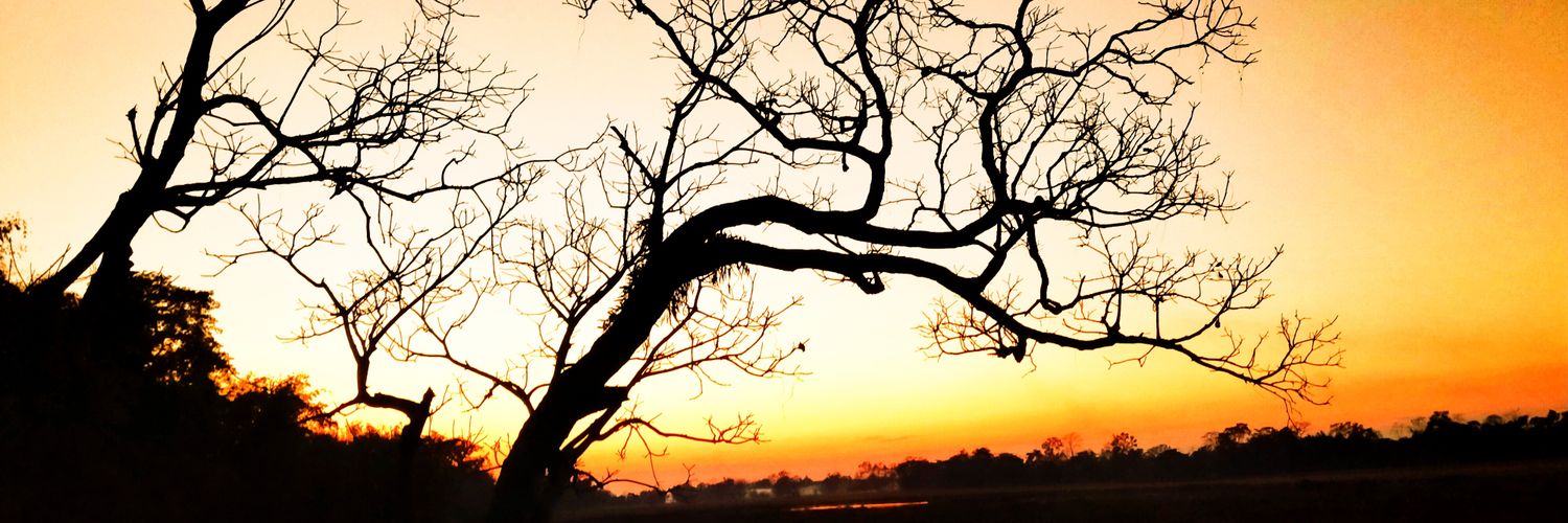 MajuliKaku's profile banner image