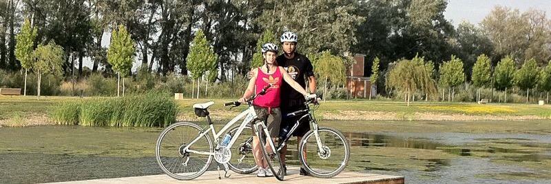 sanidelight's profile banner image