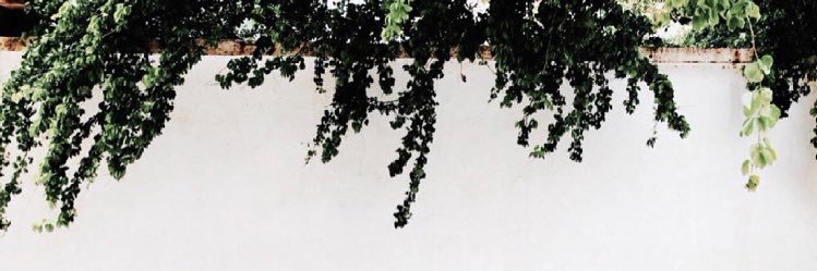 Lussha2's profile banner image