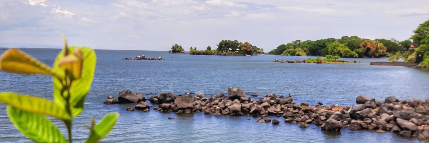 FreddySanchezUr's profile banner image