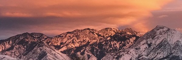 dcs1414 Profile Banner