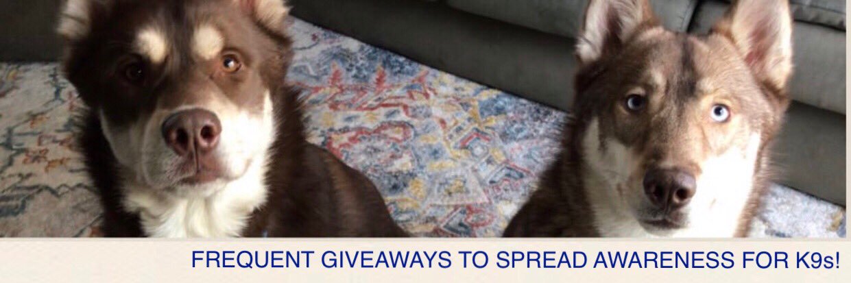 Meredith 💙🐾 banner