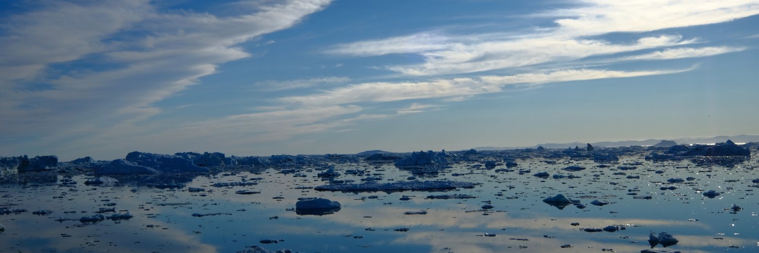 Anne Merrild Hansen banner
