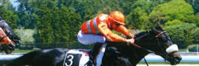 rossi_frederic's profile banner image