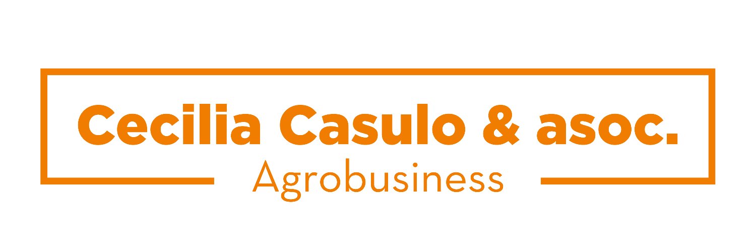 cecicasulo's profile banner image