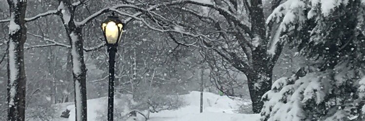 WShidler34's profile banner image