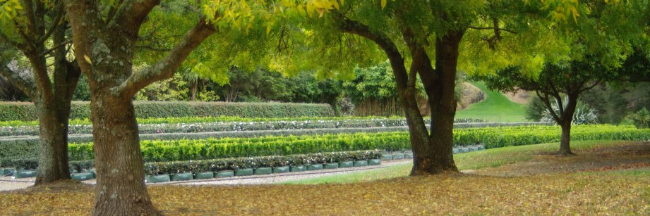 hedge_master's profile banner image