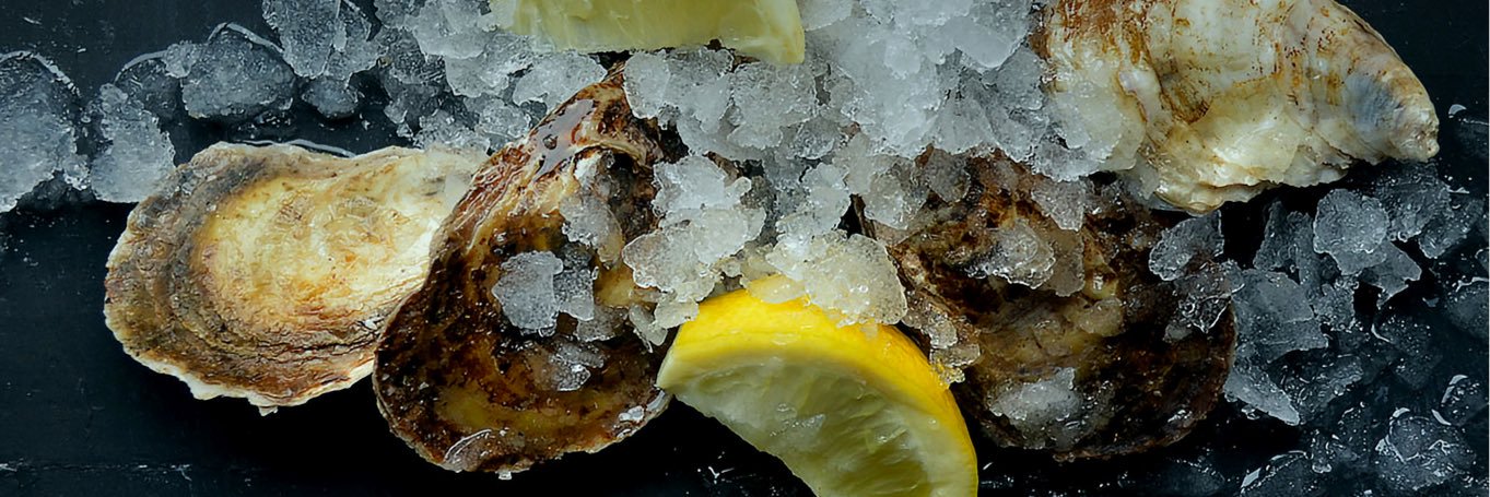 FishmarketGo's profile banner image