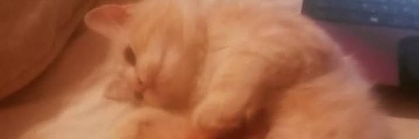 MariamRobly Profile Banner