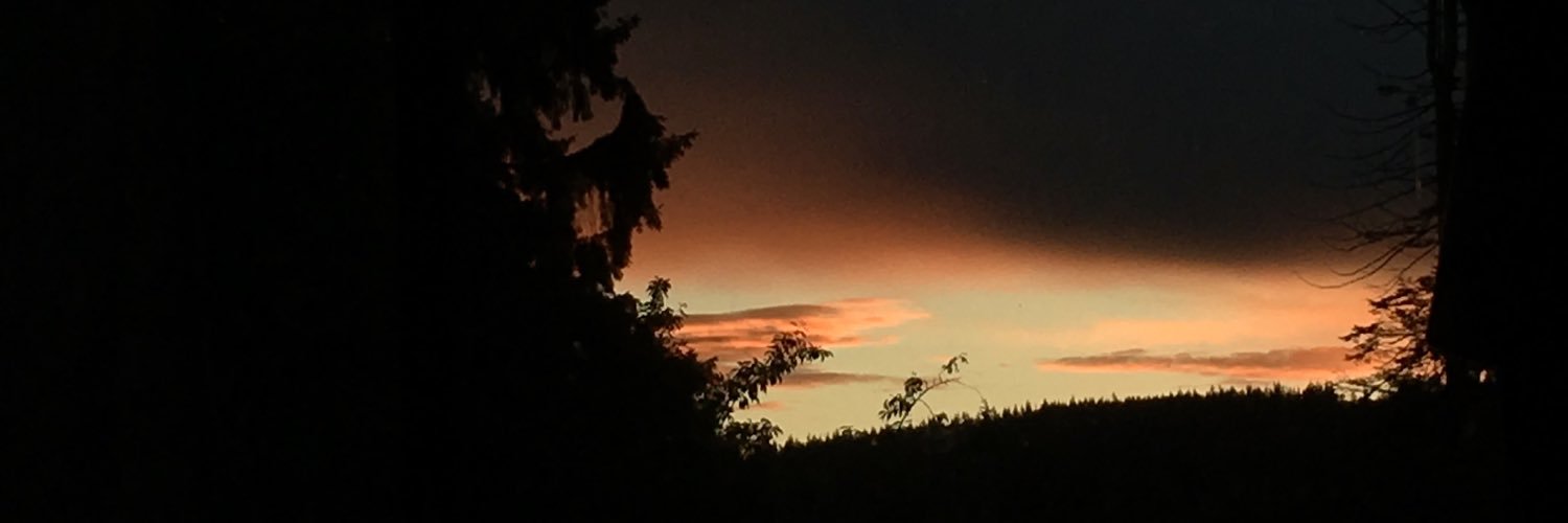 OGSb253's profile banner image
