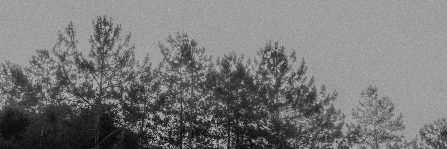 leleoque's profile banner image