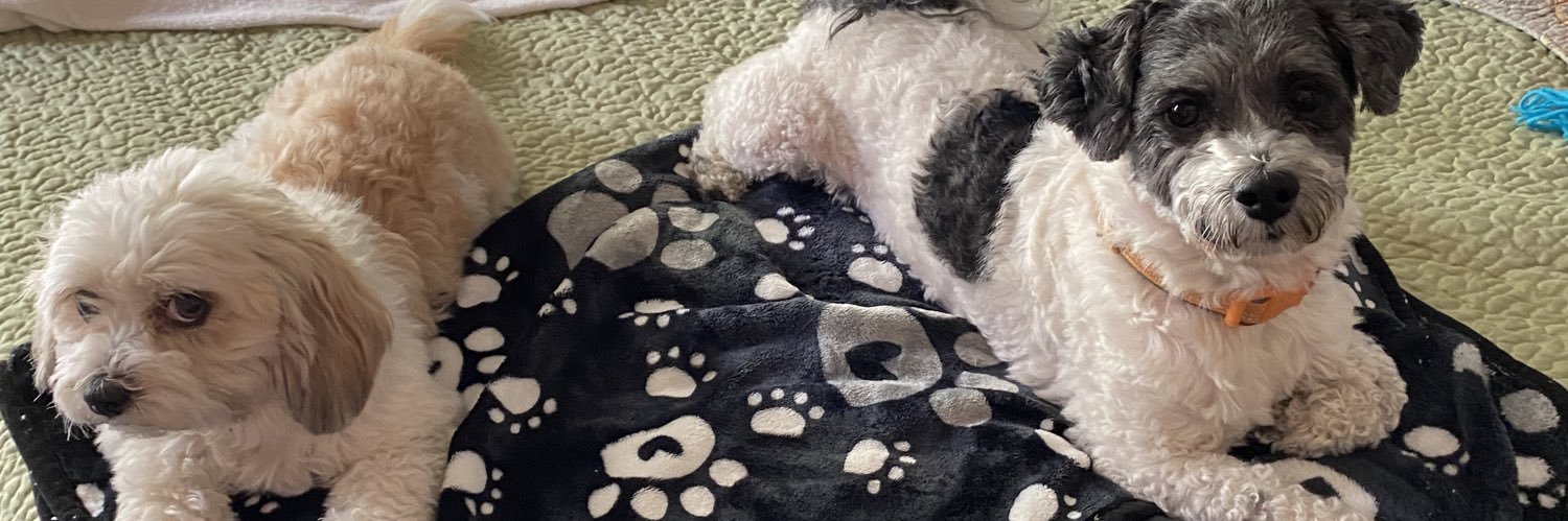 Cathleen ❌👑 banner