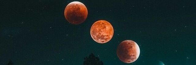 Carlitabrandali's profile banner image